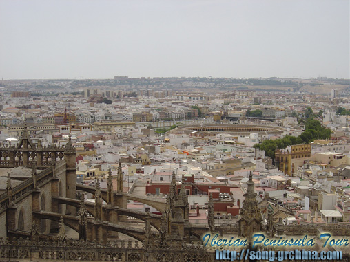 La Giralda of Ceville Cathedral, the largest Christian cathedral 